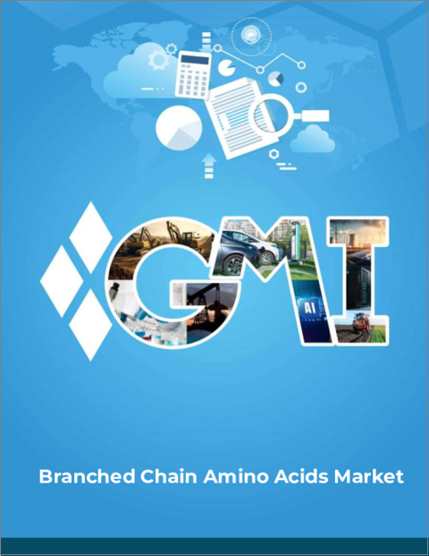表紙：分岐鎖アミノ酸（BCAA）市場規模：タイプ、用途、形態別&世界予測、2023年～2032年