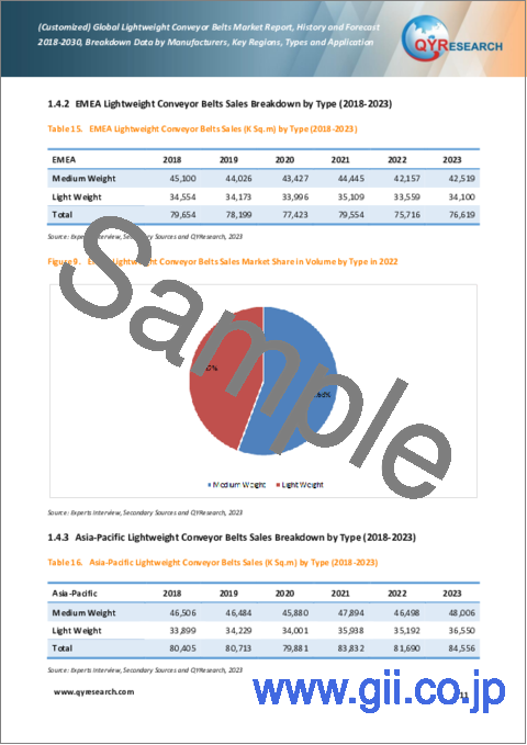 サンプル1：軽量コンベヤベルトの世界市場：実績と予測（2018年～2029年）-カスタマイズ版