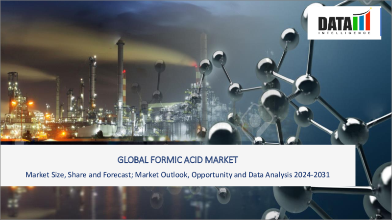 表紙：ギ酸の世界市場-2023年～2030年
