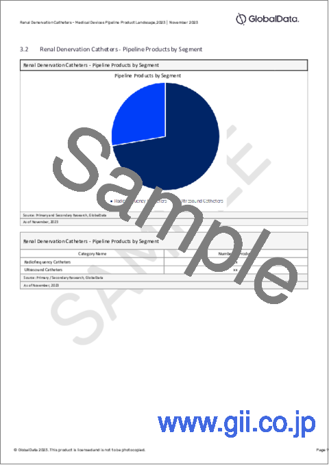 サンプル2：腎デナベーションカテーテルのパイプライン - 開発段階、セグメント、地域、規制経路、主要企業
