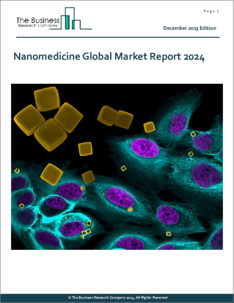 表紙：ナノメディシン（ナノ医薬品）の世界市場レポート 2024年