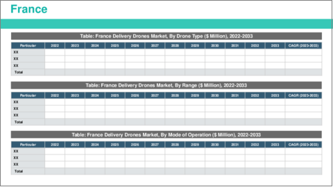 サンプル2：デリバリードローン：世界および地域市場の分析 (2023-2033年)