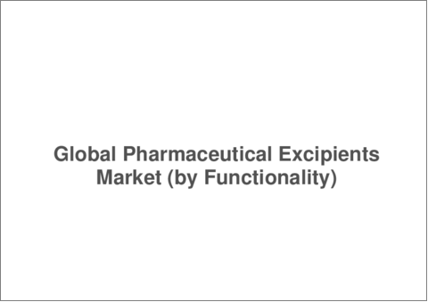 サンプル1：医薬品添加剤の世界市場：用途別、製剤別、機能性別、製品別、地域別、競合情勢 - 分析と予測（2024年～2033年）