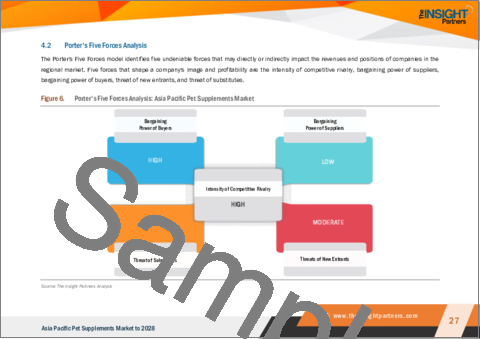 サンプル2：アジア太平洋地域のペット用サプリメント市場の2028年までの予測- 地域別分析- 剤形別、ペットタイプ別、流通チャネル別