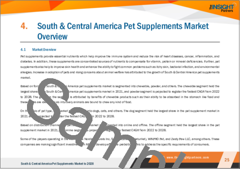 サンプル2：中南米のペット用サプリメント市場の将来予測 (2028年まで) - 地域別分析 - 形状別、ペットの種類別、流通チャネル別