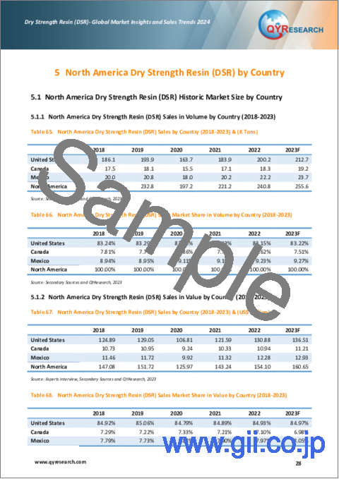 サンプル2：乾燥紙力増強樹脂 (DSR) の世界市場の洞察と販売動向、2024年