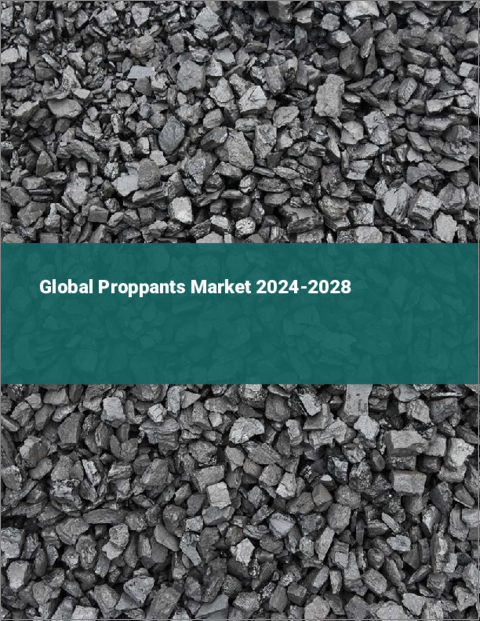 表紙：プロパントの世界市場 2024-2028