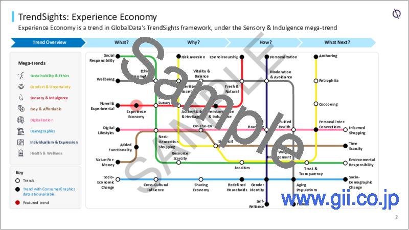 サンプル1：エクスペリエンスエコノミー（経験経済） - Consumer TrendSights Analysis（2023年）