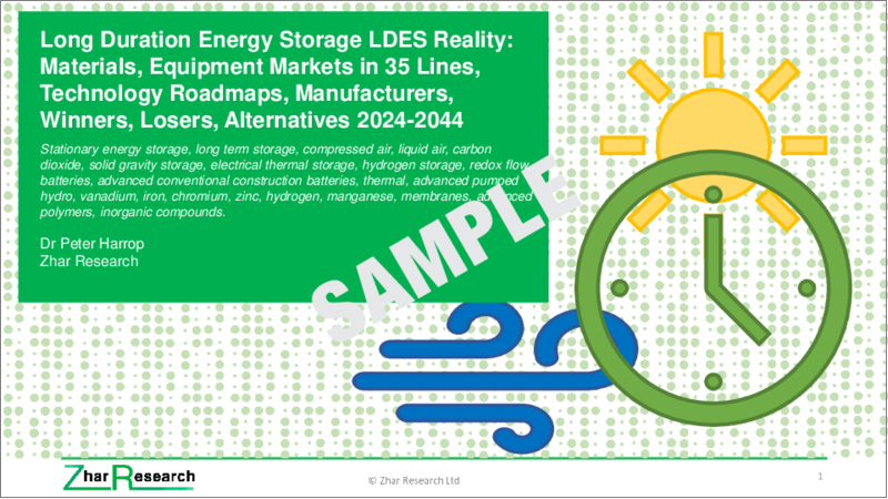 表紙：長期エネルギー貯蔵 (LDES) の現実：材料・機器の市場 (全35件)、技術ロードマップ、メーカー、勝者/敗者、代替技術 (2024年～2044年)