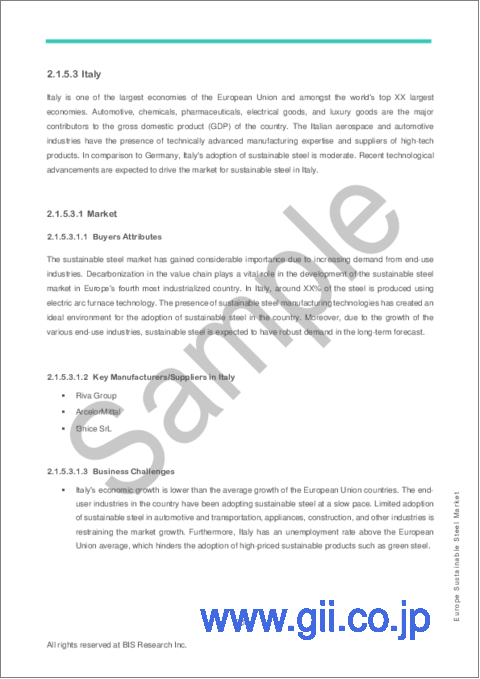 サンプル2：欧州のサステナブルスチール市場の分析・予測：2022-2031年