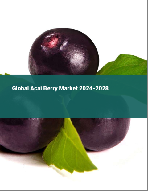 表紙：アサイーベリーの世界市場 2024-2028