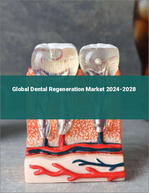 表紙：歯の再生の世界市場 2024-2028