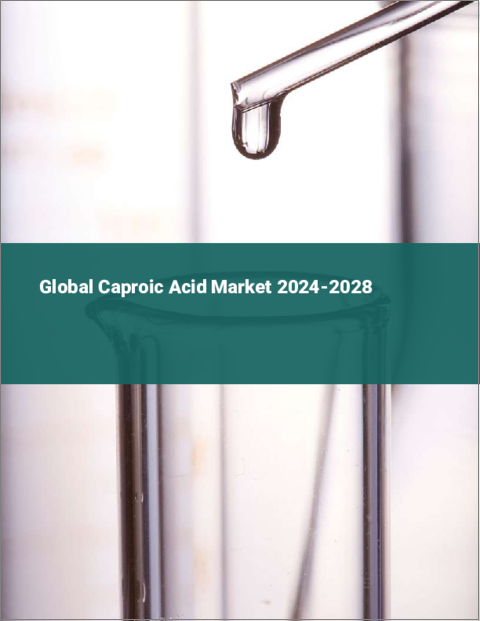 表紙：カプロン酸の世界市場 2024-2028