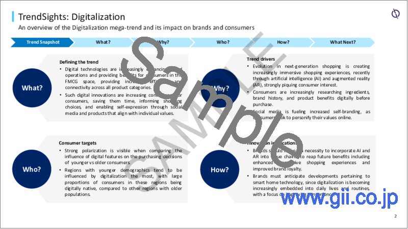 サンプル2：デジタル化- メガトレンドの概要とTrendSights分析、2023年