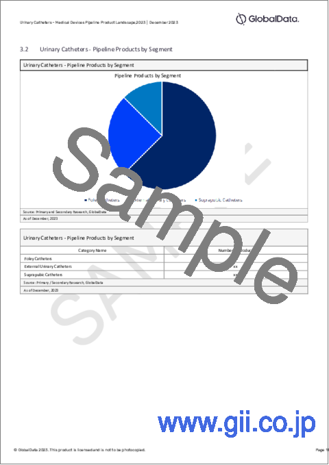 サンプル2：尿道カテーテル市場：パイプラインレポート（開発段階、セグメント、地域・国、規制経路、主要企業）