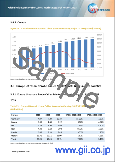 サンプル2：超音波プローブケーブルの世界市場：2023年