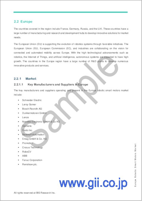 サンプル2：欧州のロボティックスマートモーター市場 - 分析と予測（2023年～2033年）