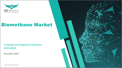 表紙：バイオメタン市場- 世界および地域別分析（2023年～2033年）