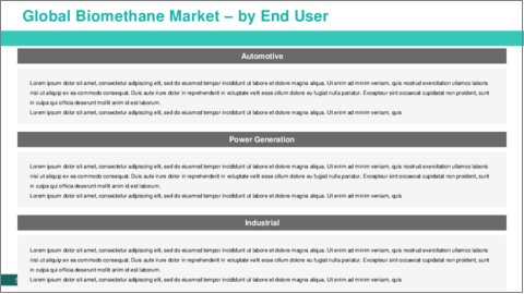 サンプル1：バイオメタン市場- 世界および地域別分析（2023年～2033年）