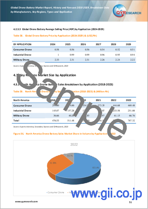 サンプル2：ドローン用電池の世界市場：2023-2029年