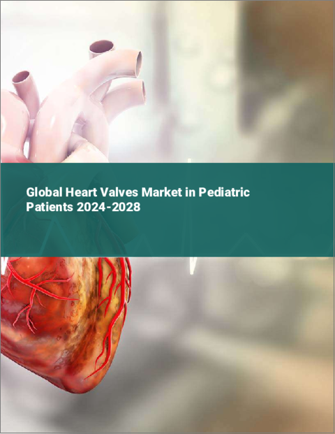 表紙：小児用心臓弁の世界市場 2024-2028