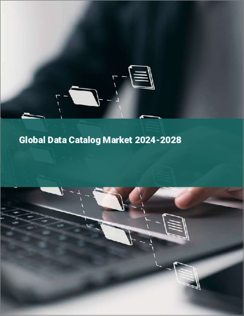 表紙：データカタログの世界市場 2024-2028
