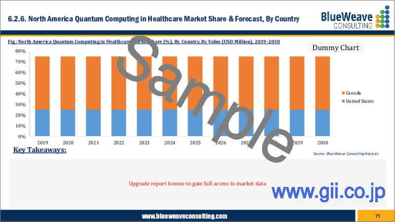 サンプル2：ヘルスケア量子コンピューティングの世界市場：市場規模、シェア、動向分析、機会、予測（2019～2029年）