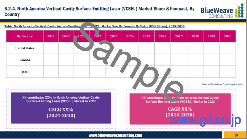 サンプル2：垂直共振器面発光レーザー（VCSEL）市場- 世界の市場規模、シェア、動向分析、機会、予測レポート、2019～2029年