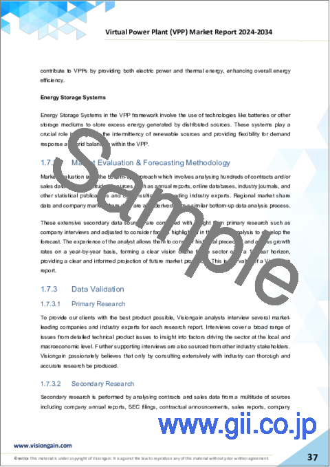 サンプル1：仮想発電所 (VPP) 市場：2024-2034年