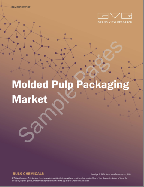 表紙：成形パルプ包装の市場規模、シェア、動向分析レポート：供給源別、成形タイプ別、製品別、最終用途別、地域別、セグメント別予測（2024年～2030年）