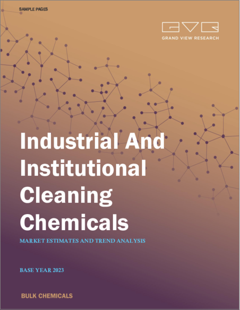 表紙：産業および施設用洗浄化学品の市場規模、シェア、動向分析レポート：原材料別、製品別、最終用途別、地域別、セグメント別予測、2024年～2030年