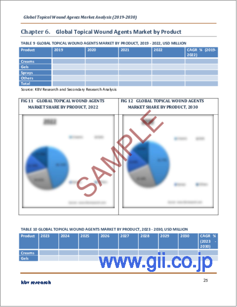 サンプル2：創傷外用薬の世界市場規模、シェア、動向分析レポート：最終用途別、製品別、地域別展望と予測、2023年～2030年