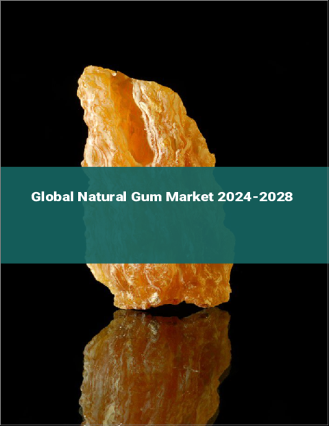 表紙：天然ガムの世界市場 2024-2028