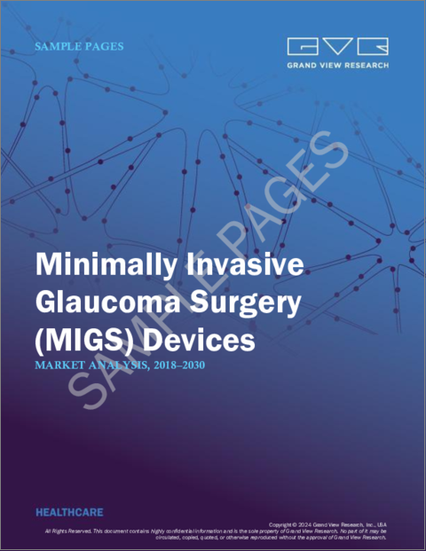 表紙：低侵襲緑内障手術（MIGS）デバイス市場規模、シェア、動向分析レポート：製品別、手術方法別、最終用途別、地域別、セグメント別予測2024年～2030年