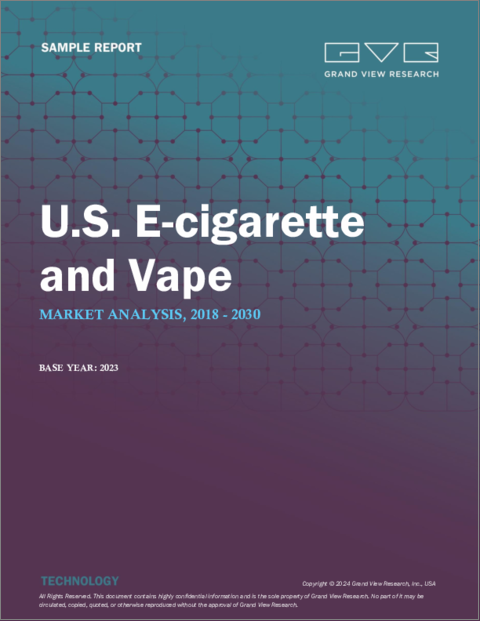 表紙：米国の電子タバコ・VAPEの市場規模、シェア、動向分析レポート：製品別、流通チャネル別、セグメント別予測、2023年～2030年