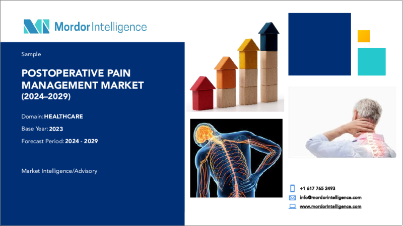 表紙：術後疼痛管理-市場シェア分析、産業動向・統計、成長予測、2024年～2029年