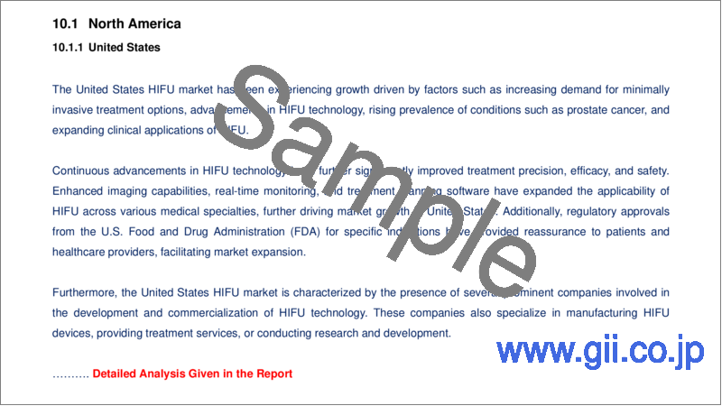 サンプル2：HIFU (高密度焦点式超音波) の世界市場：規模、予測 (2024～2030年)、産業動向、 シェア、成長、考察、インフレーションの影響、企業の分析