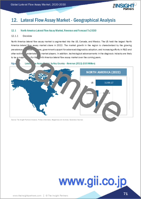 サンプル2：ラテラルフローアッセイ市場規模・予測、世界・地域シェア、動向、成長機会分析、レポート範囲：製品タイプ別、技術別、検査タイプ別、用途別、エンドユーザー別、地域別