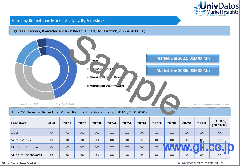 サンプル2：バイオメタン市場：現状分析と予測（2023-2030年）