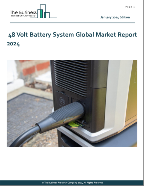 表紙：48Vバッテリーシステムの世界市場レポート 2024年