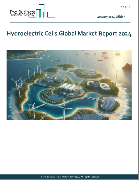 表紙：水力発電用セルの世界市場レポート 2024年