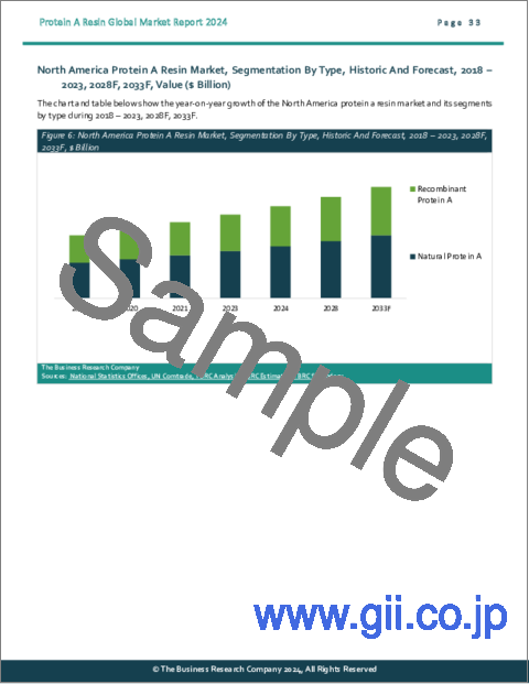 サンプル2：プロテインAレジンの世界市場レポート 2024年