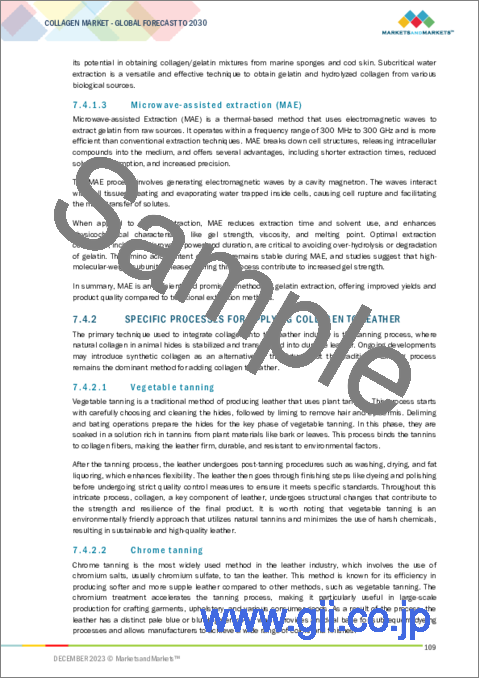 サンプル2：コラーゲンの世界市場 (～2030年)：製品タイプ・用途 (栄養製品・食品&飲料・医薬品・化粧品&パーソナルケア製品・テキスタイル)・供給源・形態・タイプ・抽出プロセス・地域別