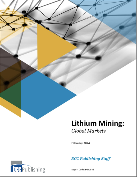 表紙：リチウム採掘：世界市場