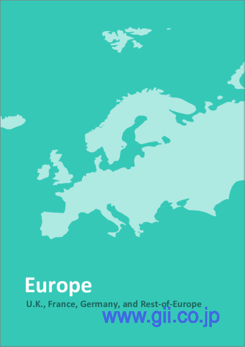 サンプル2：欧州の非破壊検査 (NDT) サービス市場 - 地域別分析：用途別、タイプ別、国別分析 - 分析と予測（2023年～2033年）