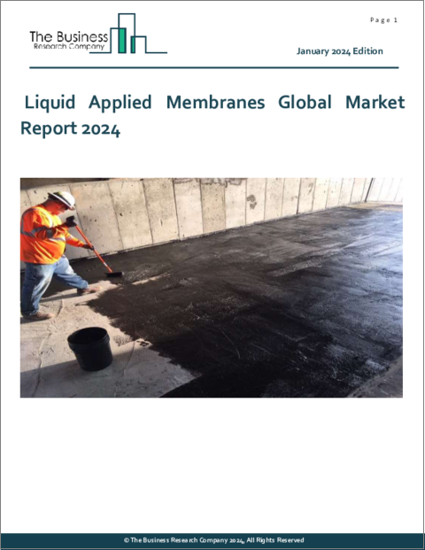 表紙：液体塗膜の世界市場レポート 2024年