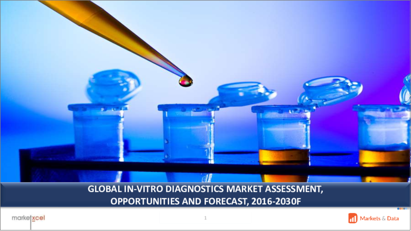 表紙：体外診断の世界市場の評価：製品タイプ別、手法別、環境別、用途別、エンドユーザー別、地域別、機会、予測（2016年～2030年）
