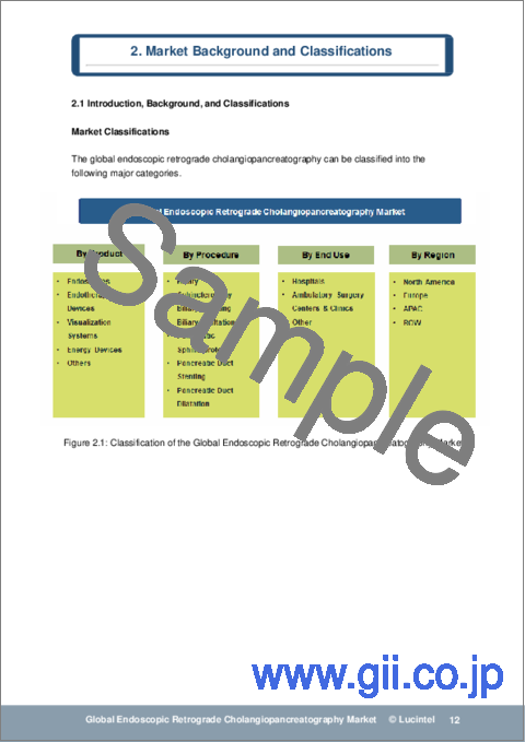 サンプル1：内視鏡的逆行性胆管膵管造影（ERCP）の世界市場：動向、予測、競合分析（～2030年）