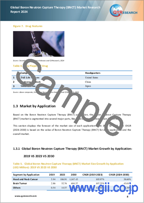 サンプル1：ホウ素中性子捕捉療法（BNCT）の世界市場：2024年