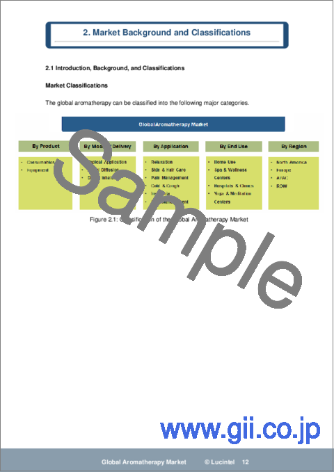 サンプル1：アロマセラピー（アロマテラピー）市場レポート：2030年までの動向、予測、競合分析